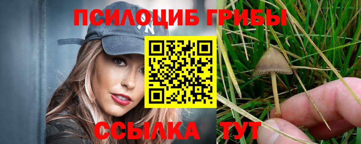 Псилоцибиновые грибы Magic Shrooms  Вход с VPN  Галлюциногенные грибы MAGIC MUSHROOMS  Электрогорск 